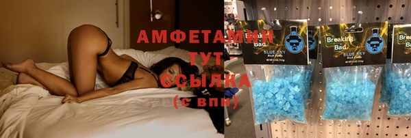 ALPHA-PVP Богородицк
