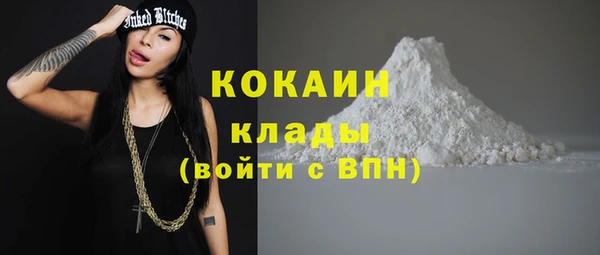 ALPHA-PVP Богородицк