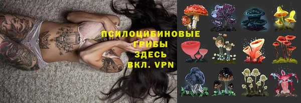 каннабис Богданович